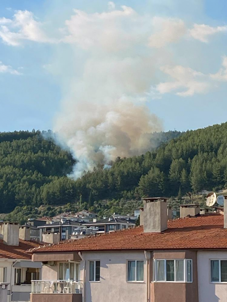 'Büyü var' diyerek ormanı yaktı