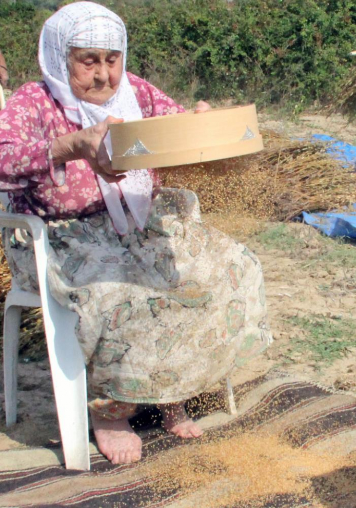 Menteşe Ziraat Odası Başkanı Baştuğ 'Kadın Çiftçiler' gününü kutladı