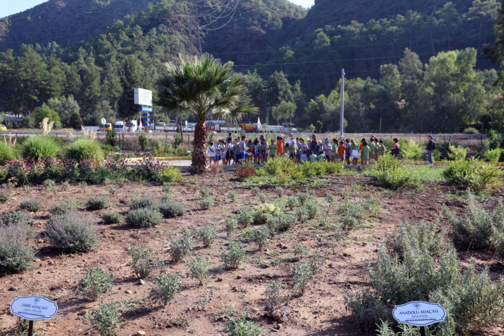 Öğrenciler Tıbbi Bitkiler Koleksiyon Bahçesi'ni ziyaret etti