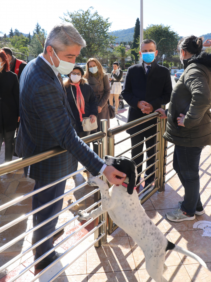 Patili Dostlar Marmaris'te Çok Mutlu