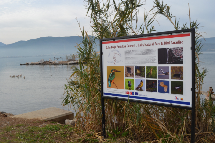 Fethiye Ördek Adası Ve Kuş Cenneti'nde Temizlik Çalışması Yapıldı