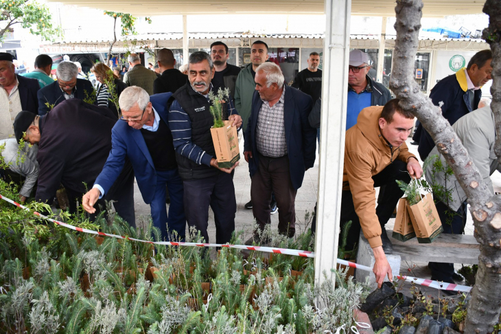 Yatağan'da gelir getirici fidan dağıtımı