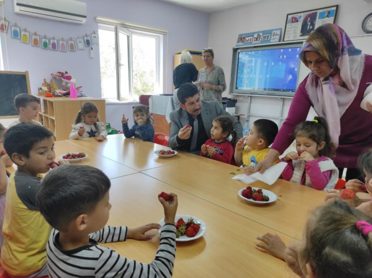 Köyceğiz'de öğrenciler çilek hasadı yaptı